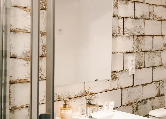 公寓 Le Mademoisel' - 2 Pieces - De Gamme - Capitole